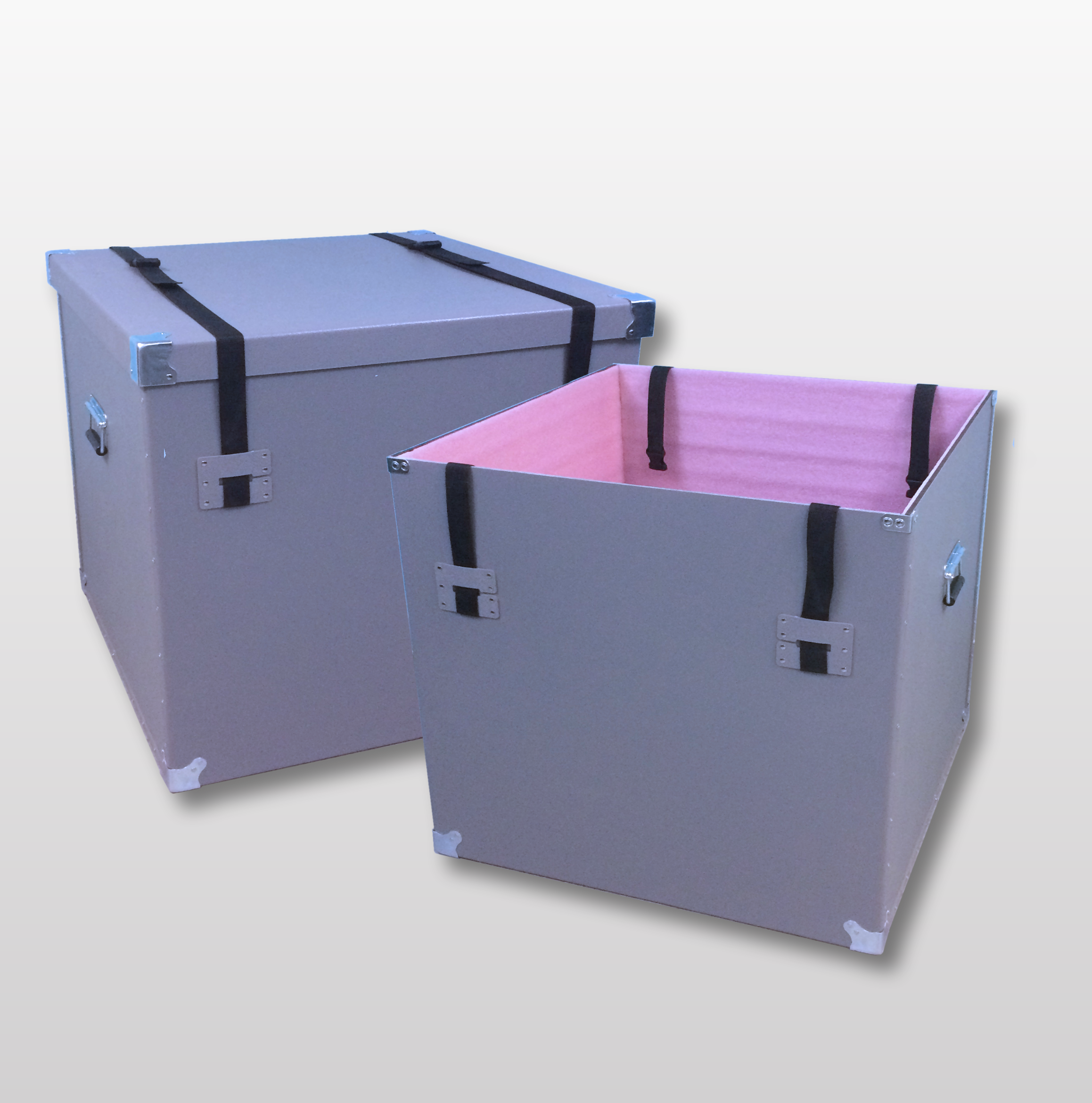 Buckles and Straps Cases with Anti Static Foam- Example B Cabbage Cases Buckles and Straps